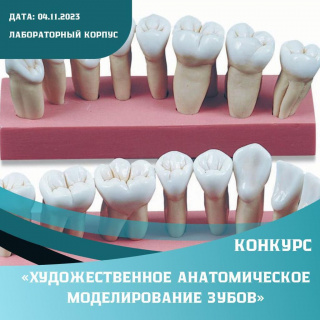 Конкурс "Художественное анатомическое моделирование зубов"