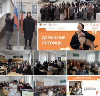 РАЗГОВОРЫ О ВАЖНОМ: «ДОМАШНИЕ ПИТОМЦЫ»