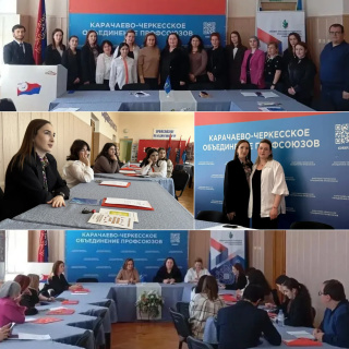 УЧАСТИЕ В ЗАСЕДАНИИ СОВЕТА МОЛОДЫХ ПЕДАГОГОВ ПРИ СОВЕТЕ РЕСПУБЛИКАНСКОЙ ОРГАНИЗАЦИИ ПРОФСОЮЗА