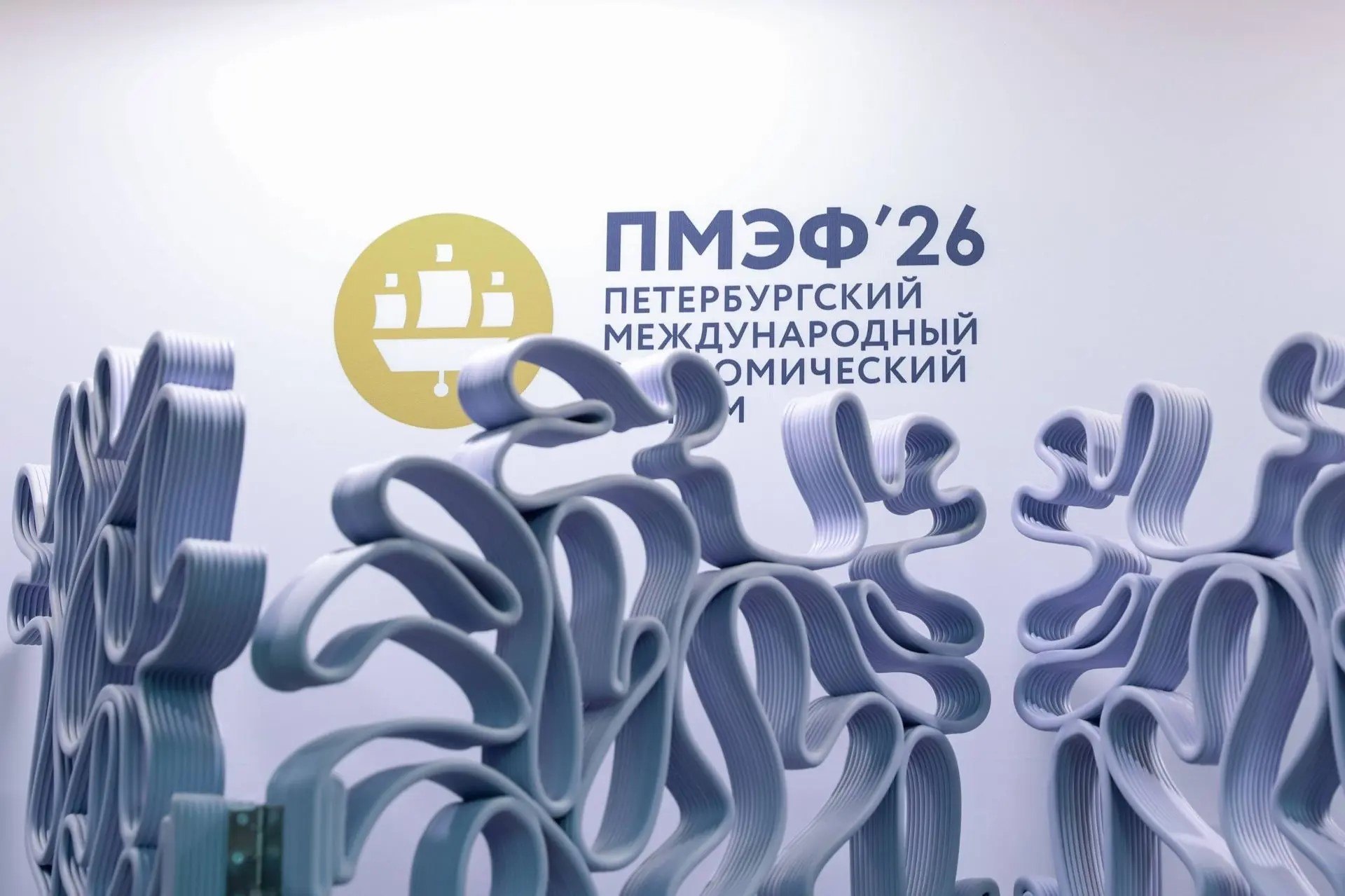 ️️Представители СКГА приняли участие в ПМЭФ