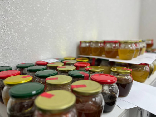 Порядка 300 пчеловодов со всей России соберет форум в КЧР 