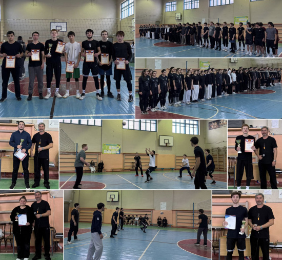 НОВОГОДНИЕ ПРОФОРИЕНТАЦИОННЫЕ СОРЕВНОВАНИЯ ПО ВОЛЕЙБОЛУ