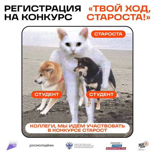 Лучший староста, мы ищем тебя! 