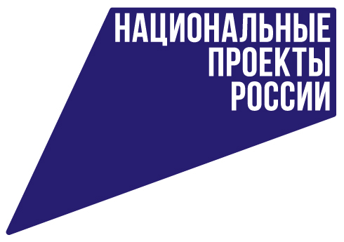 Национальные проекты России