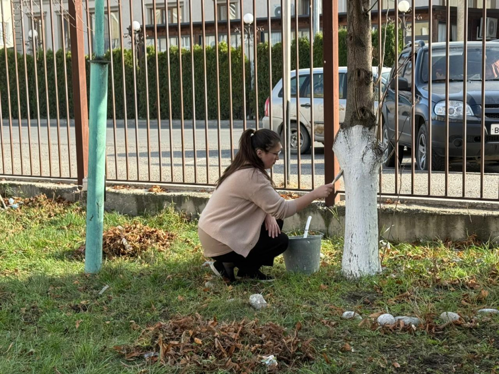 WhatsApp Image 2025-11-22 at 11.24.15 (1).jpeg