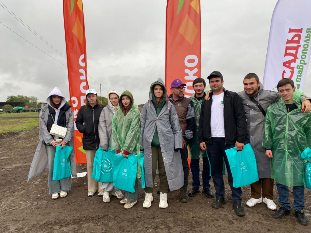 Изображение WhatsApp 2025-09-29 в 09.42.02_90ee905c.jpg