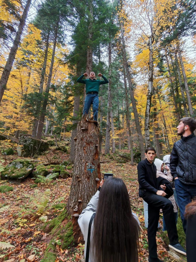 95b40ff7-0044-4202-b7f4-b26e88ab2972.jpg 95b40ff7-0044-4202-b7f4-b26e88ab2972.jpg